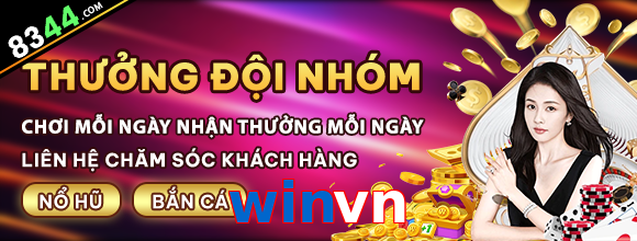 winvn